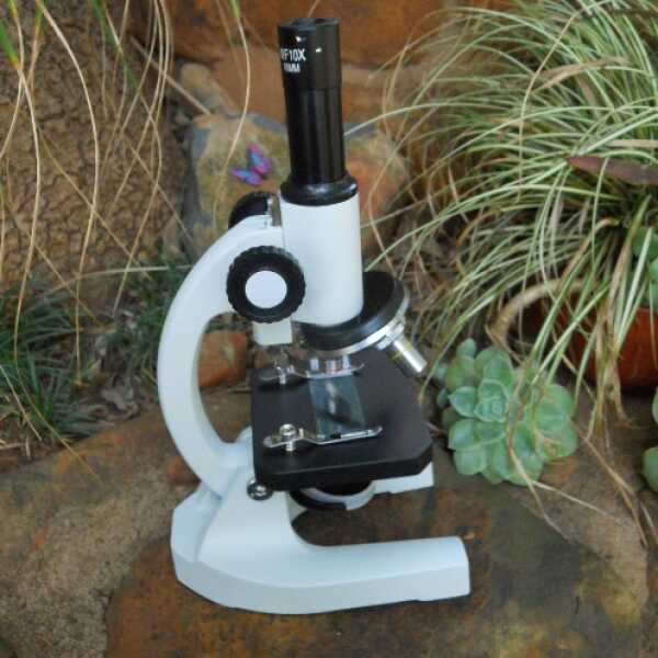 Microscope Dissecting 20x (Science Education)