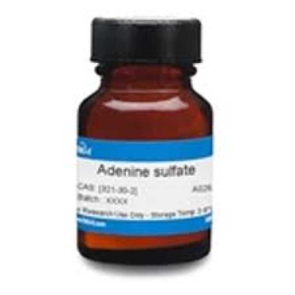Adenine Sulphate AR 25g