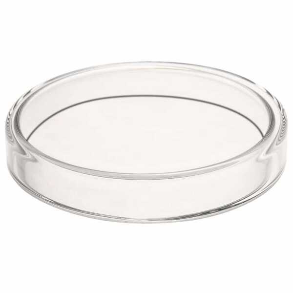 Glass Petri Dishes* - Image 2
